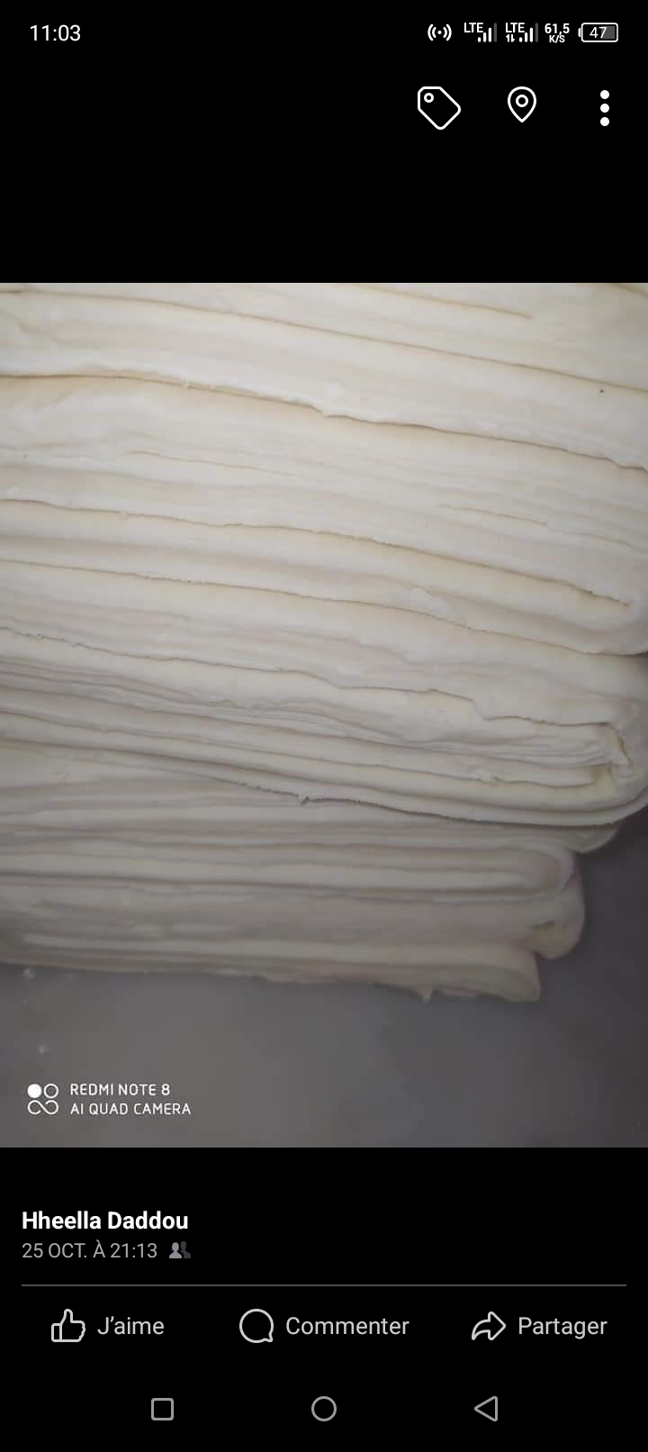 Patte feuilletée